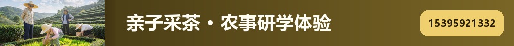 亲子采茶研学 · 文章页三