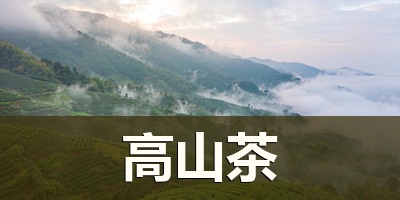 格子广告 · 高山茶