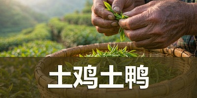格子广告 · 土鸡土鸭