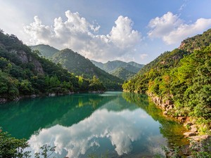 美丽乡村建设里的“土味”与“品味”