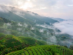 乡村水系治理：让溪流重新清起来